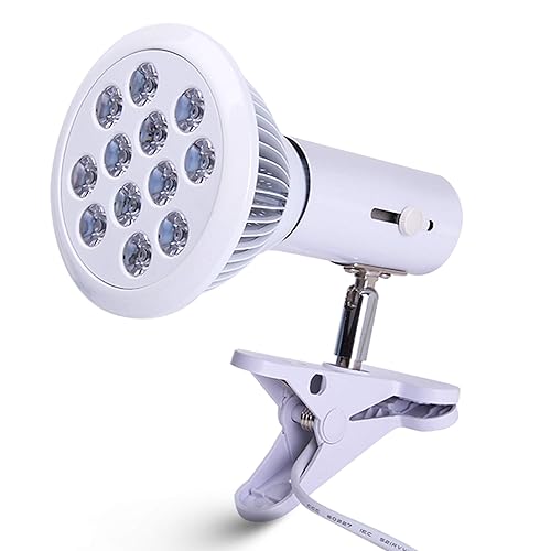 Medical Lamp