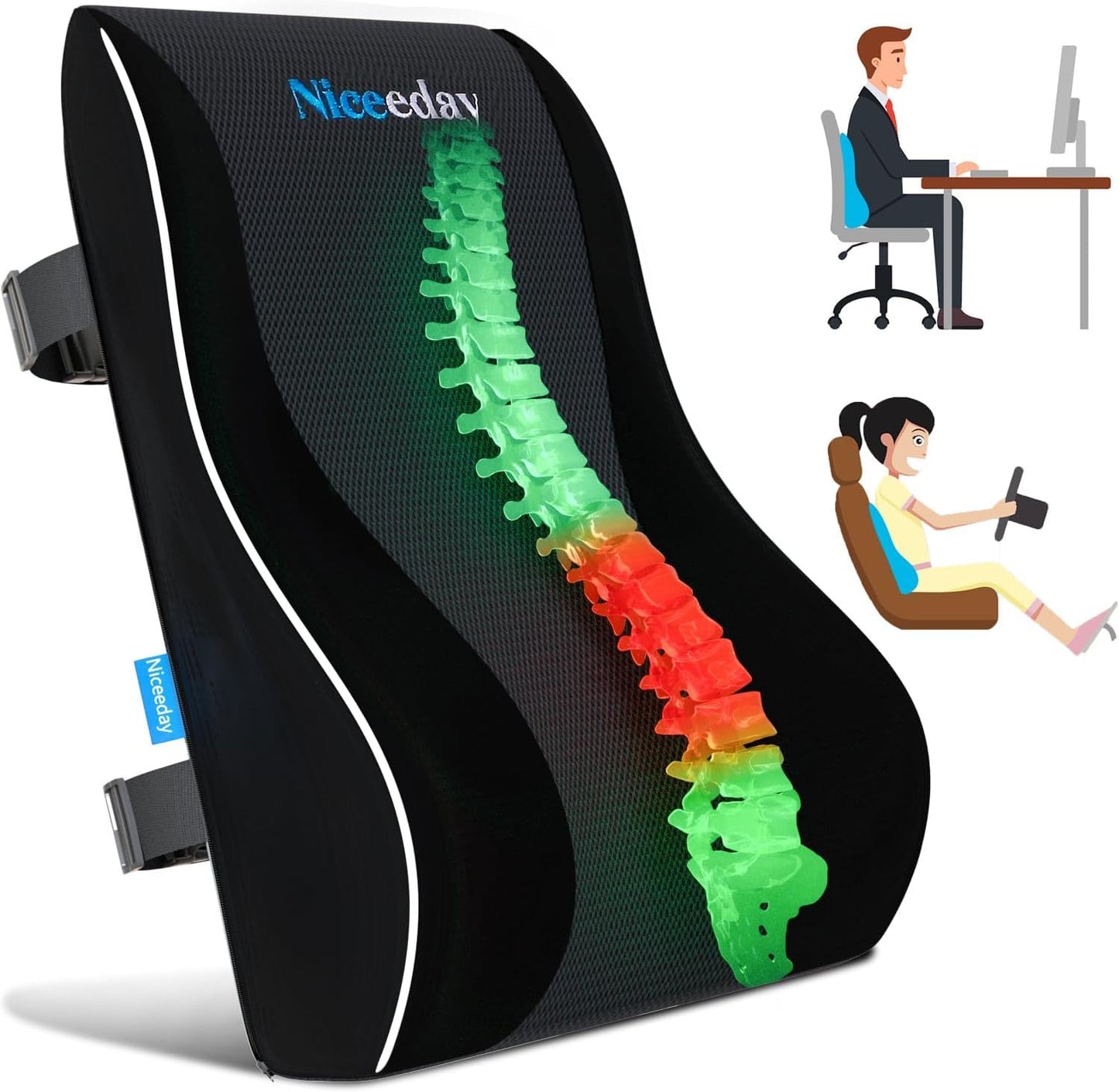 Back Care Ortho Support | Lumbar Back Support