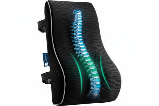 Back Care Ortho Support | Lumbar Back Support